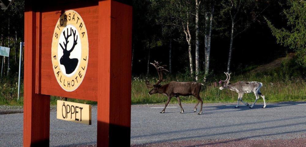Storsaetra Fjaellhotell Grövelsjön エクステリア 写真