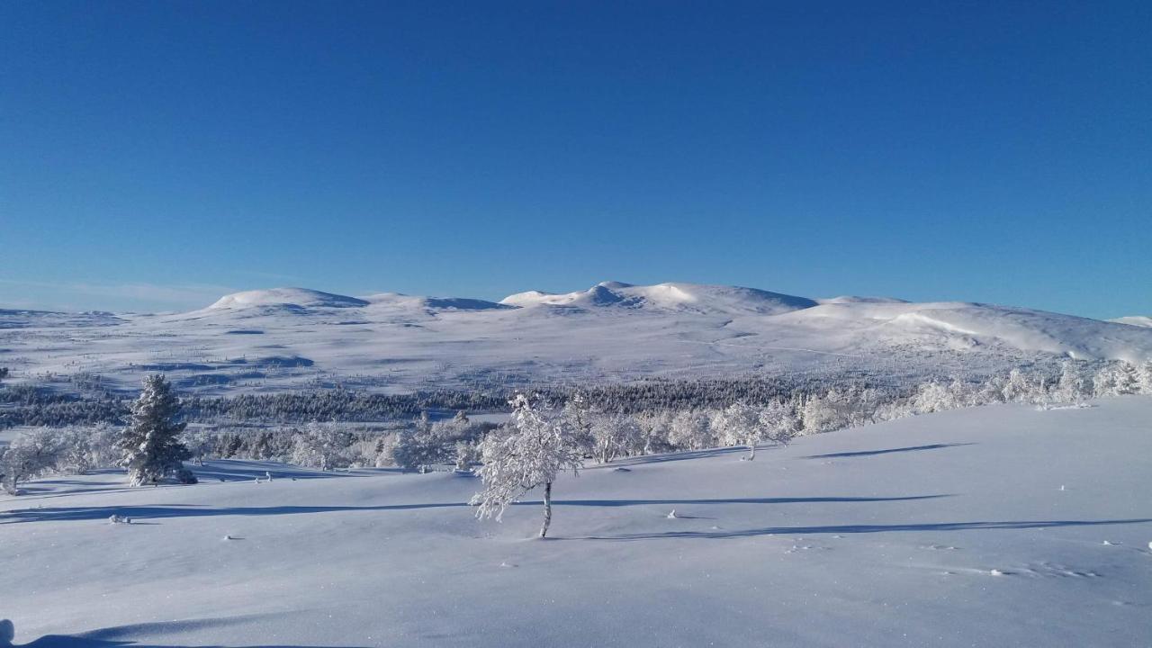 Storsaetra Fjaellhotell Grövelsjön エクステリア 写真